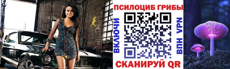 Галлюциногенные грибы Psilocybe  купить закладку  Черкесск 