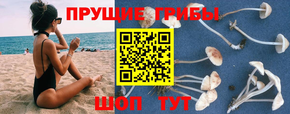 Черкесск  Галлюциногенные грибы Psilocybine cubensis  Вход с VPN  Псилоцибиновые грибы Cubensis 