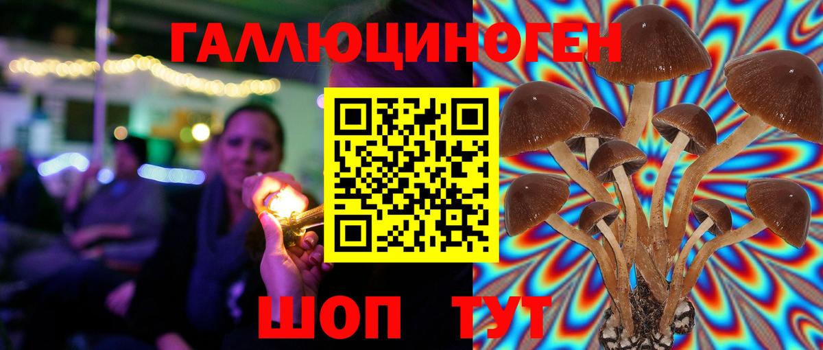 Галлюциногенные грибы мухоморы Черкесск